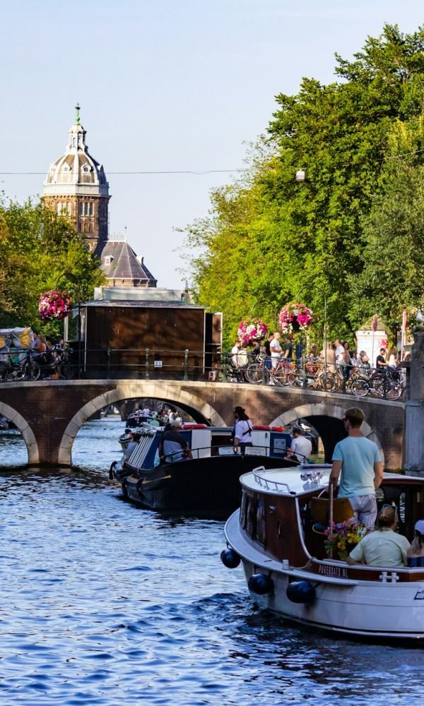 De tender sloep kopen